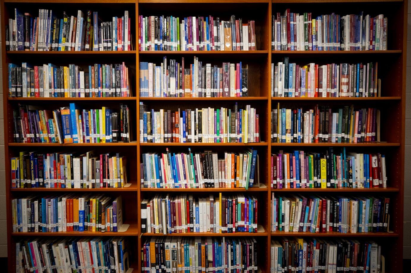 Library shelf with books
